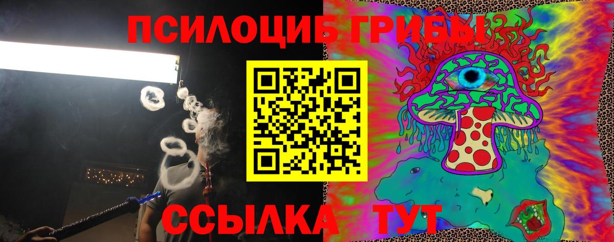 Псилоцибиновые грибы Psilocybe  Галлюциногенные грибы Psilocybine cubensis  Нижнекамск  Вход с VPN 