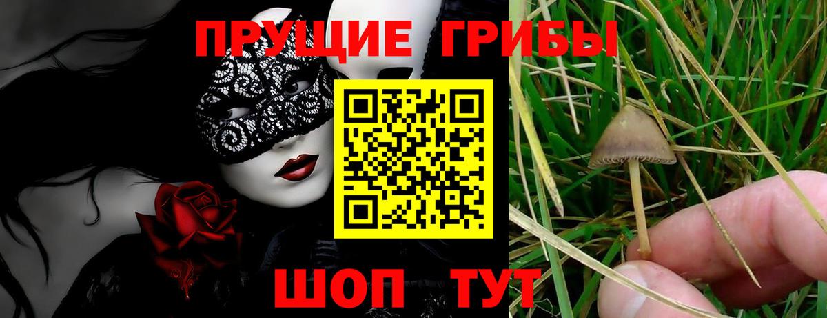 Псилоцибиновые грибы GOLDEN TEACHER Нижнекамск